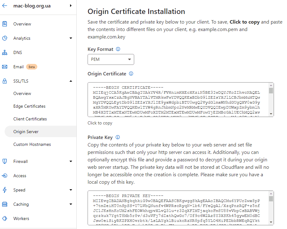Cloudflare Generated Certificate Result